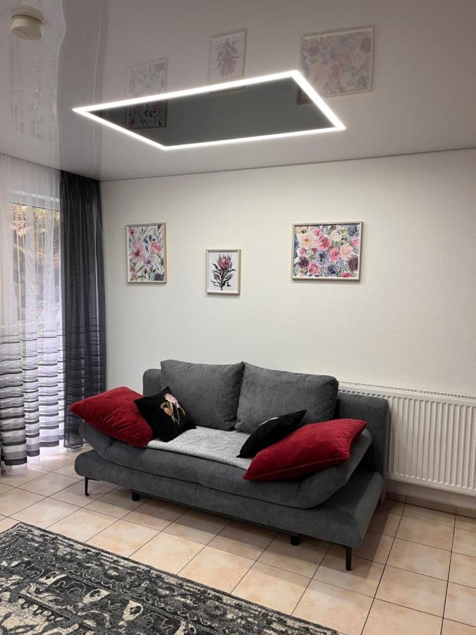 A&D Charmantes Apartment - Buehlertal Bei Buehl, Baden-Baden & Schwarzwald 외부 사진